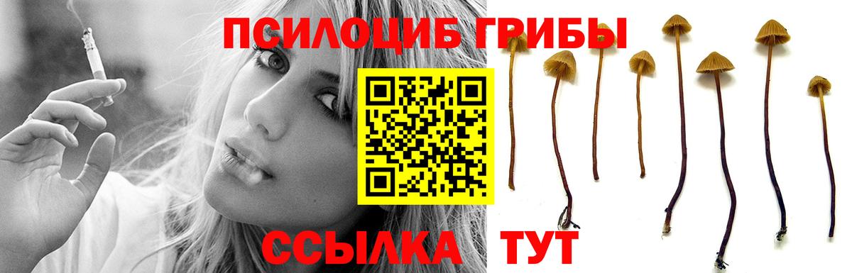 Саратов  Галлюциногенные грибы Psilocybe  Вход с VPN  Псилоцибиновые грибы Psilocybe 